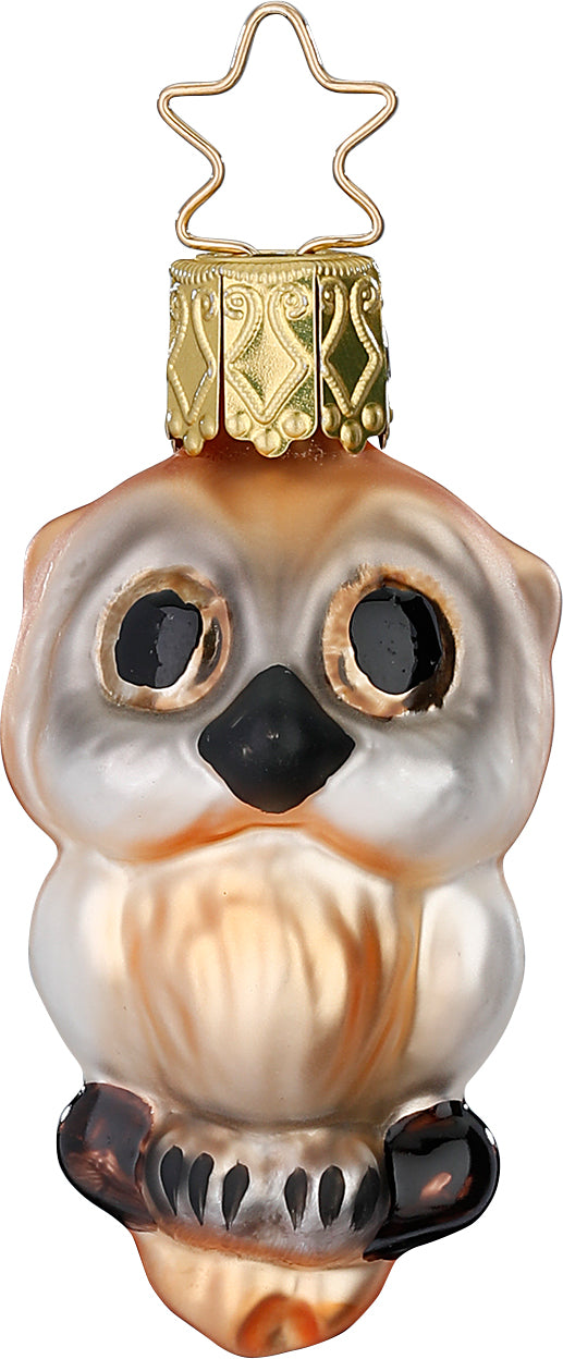 Owl Ursula by Inge-Glas