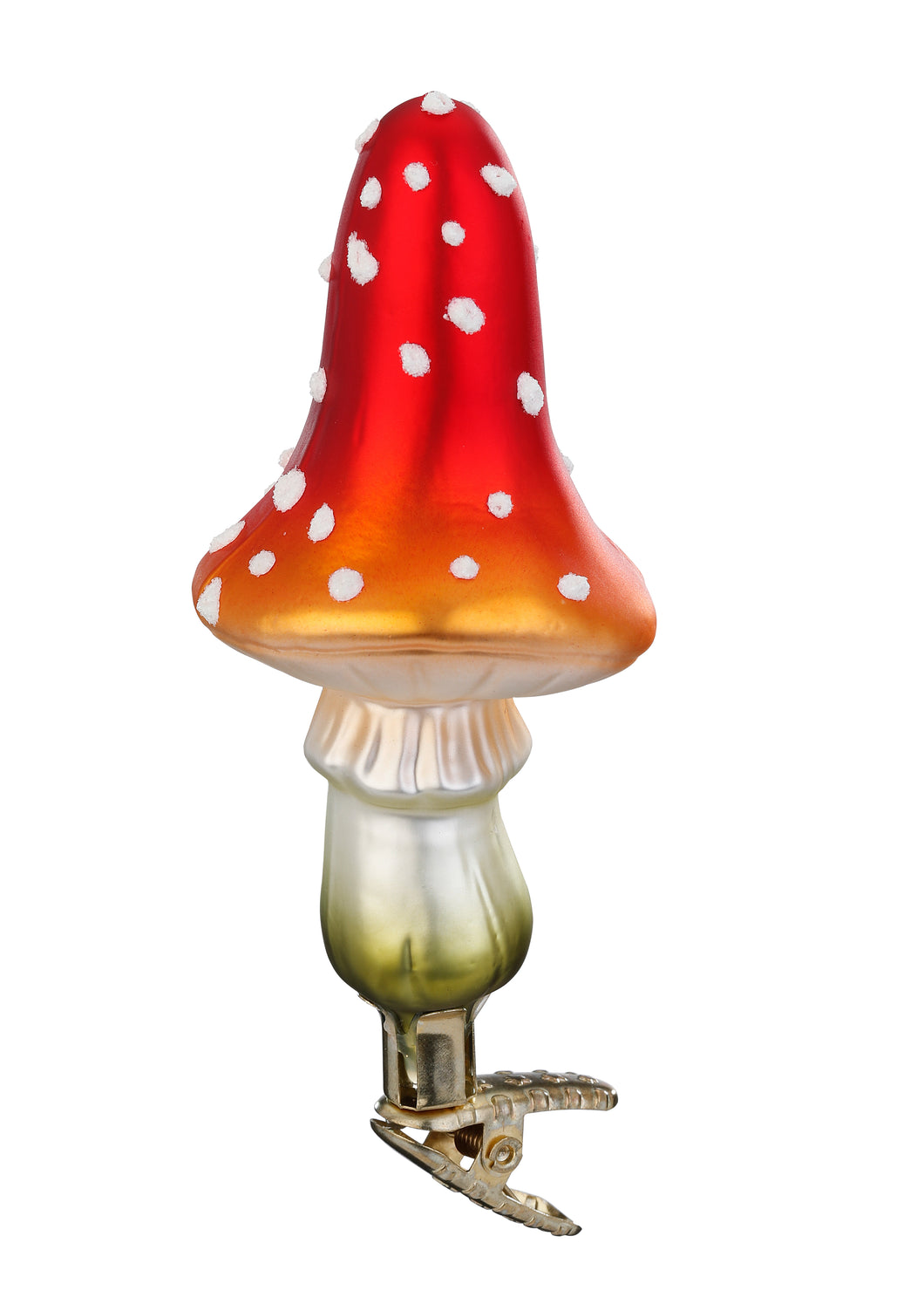Flying Agaric Mushroom by Inge-Glas