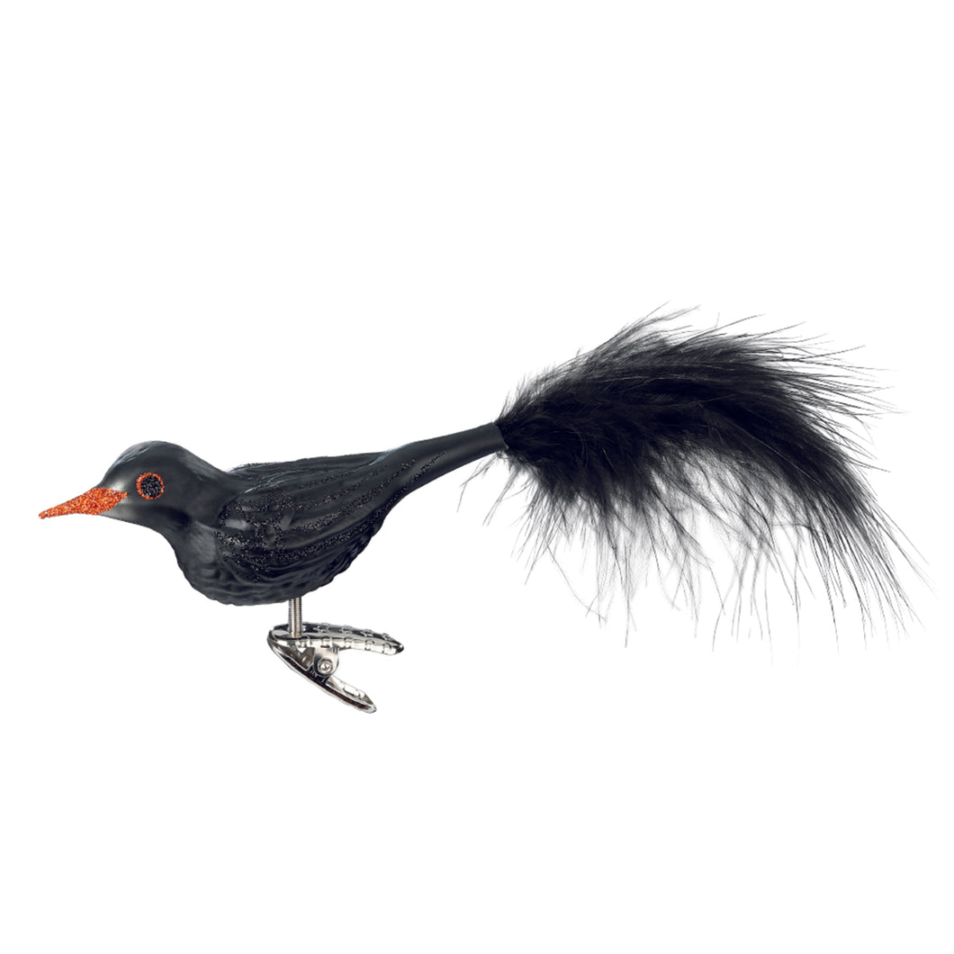 Blackbird by Inge-Glas