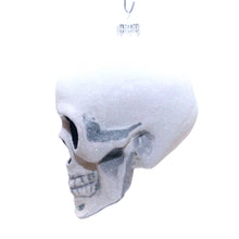 Load image into Gallery viewer, Skull by Thomas Glenn
