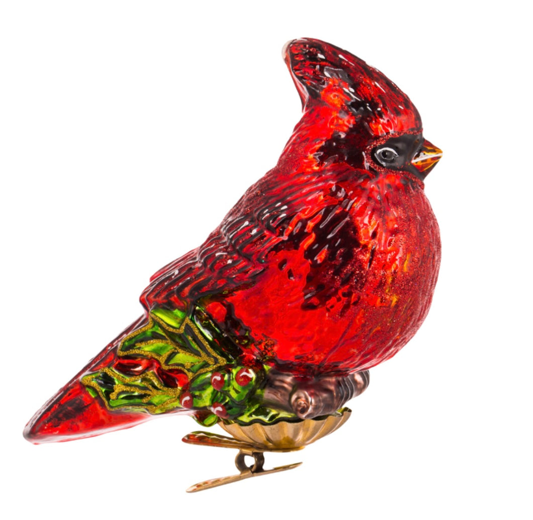 Perky Cardinal
